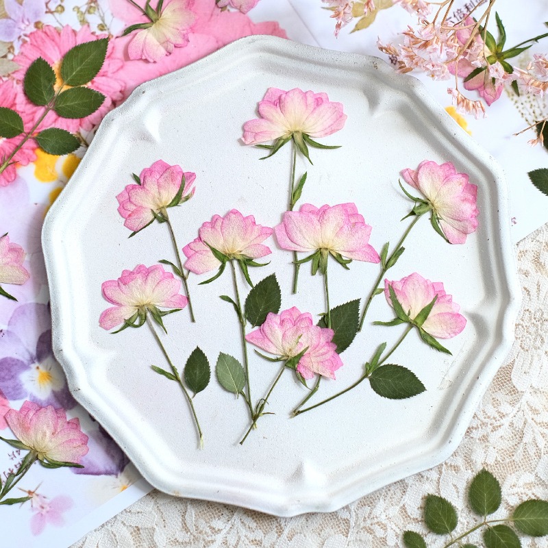 Resin Craft Ideas - 12 pièces, fleurs séchées pressées véritables