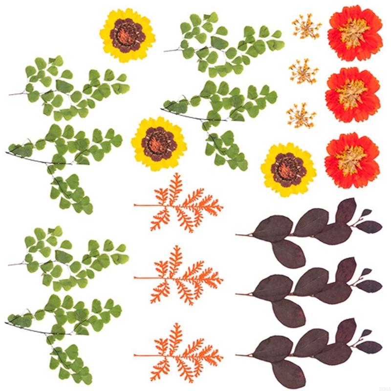 Fleur pressée séchée pour moul - Resin Craft Ideas avis et prix